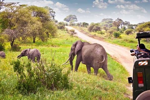 Halvdagstur til Hluhluwe Imfolozi fra Richards Bay