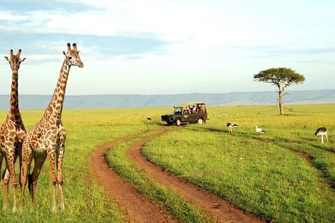 Halbtägige Stadtrundfahrt durch Durban und Phezulu Safari Park