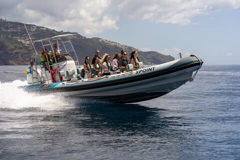 フンシャルでの RIB ボートによるイルカとクジラのウォッチング ツアー
