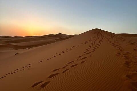 Sunset By Camels In Merzouga Desert A Trip From Errachidia