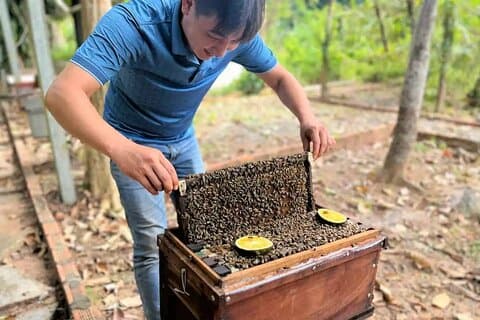 Eintägige private Landtour im nördlichen Phu Quoc