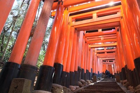 Tour privado de Kioto con guía nacional autorizado