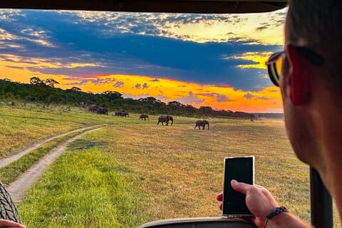 Game Drive in Zambezi National Park, Victoria Falls