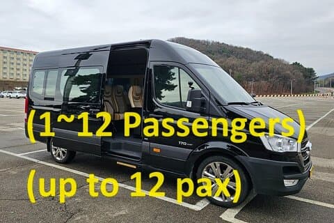 Privat lufthavnstransport fra Incheon Lufthavn til Seoul (op til 12)