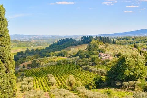 Privat Toscana Tour fra Firenze Inklusive Siena, San Gimignano og Chianti vinregionen