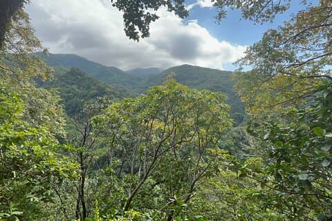 Randonnée St Kitts: Wingfield Rainforest et Romney Experience