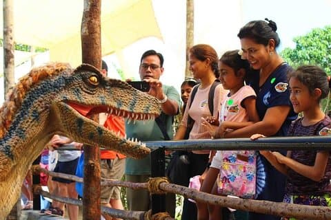 Langkawi Wildlife City Tour CrocodileAdventureland & WildlifePark