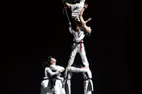Biljett till The K-Show Taekwondo Show