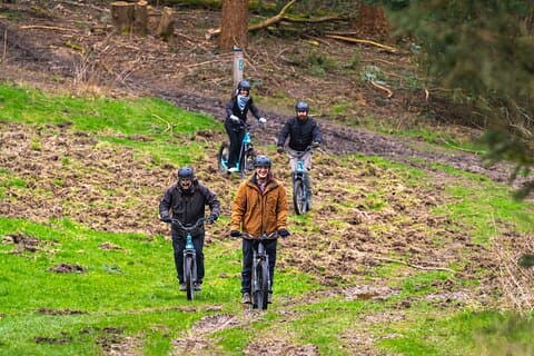 Explore Nature with All-Terrain E-Scooters