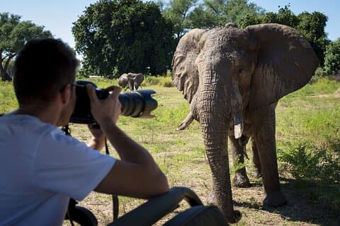 8 Días Safari Fotográfico de Vida Silvestre en Kenia