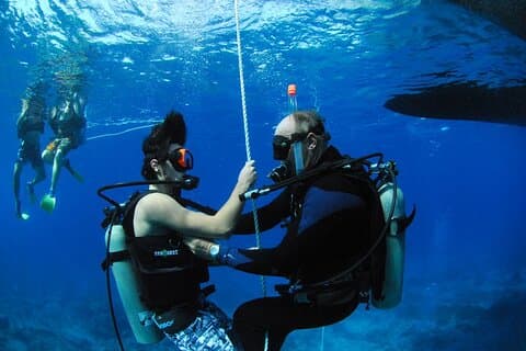 Entdecken Sie den Tauch- und Schnorchelausflug in Charlotte Amalie