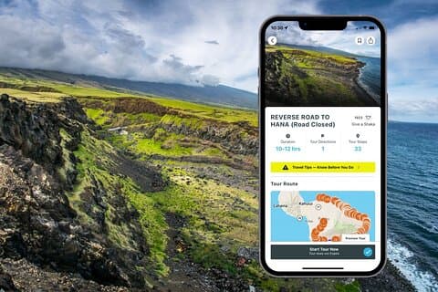 Excursion en voiture sur la route "inversée" de Maui à Hana