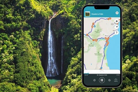 Kauai Wailua Valley & watervallen Audio-rijtour