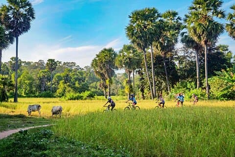 Siem Reap Countryside Guided Tour by Bike and E-Bike Private Tour