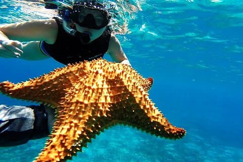 Lancha rápida con snorkel Aventura de Cancún