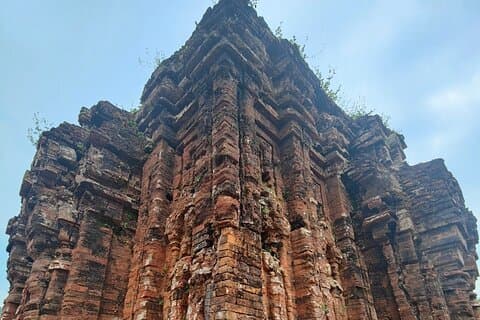 Halvdag My Son Sanctuary privat tur fra Da Nang