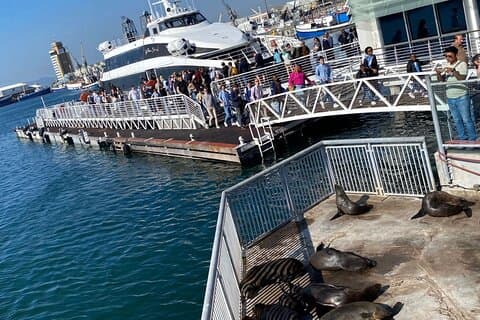 Robben Island Tour ab Kapstadt : Vorbestelltes Ticket & Transfers