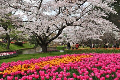 Hamamatsu Flower Park & Lake Hamana Private Tour with Public Bus