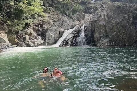 Amazing Daintree Rainforest Tour Waterfall Hike, Lunch, Swim & Crocodile Cruise