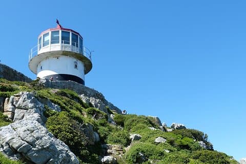 Cape Point och Boulder's Penguins heldagstur