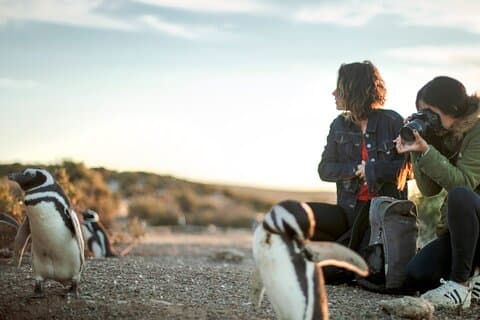 エスタンシア サン ロレンソ: 最大のペンギン コロニーの本拠地
