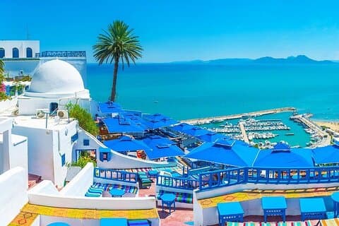 VIP : Cartagine, Sidi Bou Said e Medina, Museo del Bardo Tour