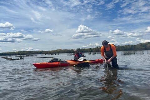 Oyster Tasting and Kayak Tour