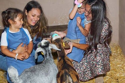 Farmer for a day