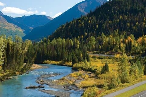 Seward till Anchorage Wildlife Adventure