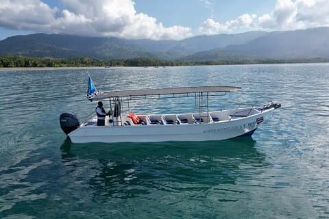 Bahia Ballena Whale and Dolphin Tour - Morning