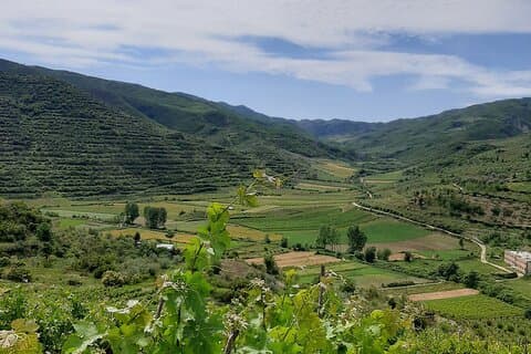 Berat 4x4 fuoristrada e degustazione di vini in vigneto