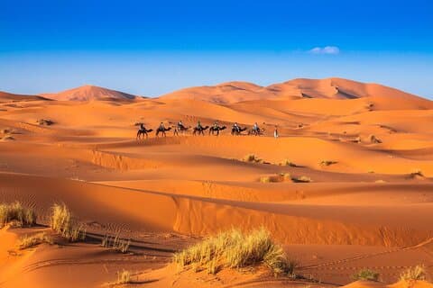 Woestijnavontuur van twee dagen en één nacht van Marrakech naar Zagora