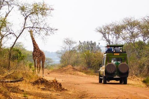 Safari de 2 días de vida silvestre en el Parque Nacional Akagera