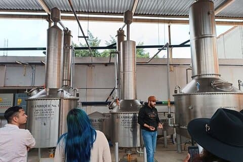 Tour de degustación de tequila en Guadalajara
