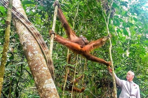 Stadtrundfahrt durch Kuching und Semenggoh Wildlife Center