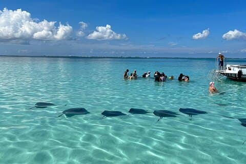 StingrayCity, o Coral Garden e o Starfish Tour.