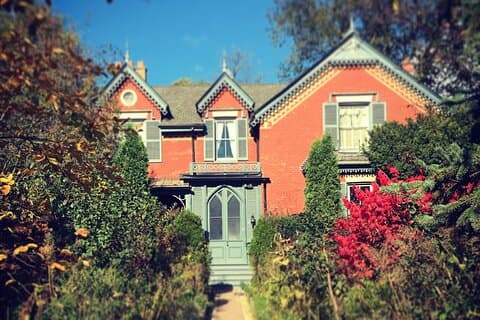 Roem en dwaasheid in het Victoriaanse Cabbagetown