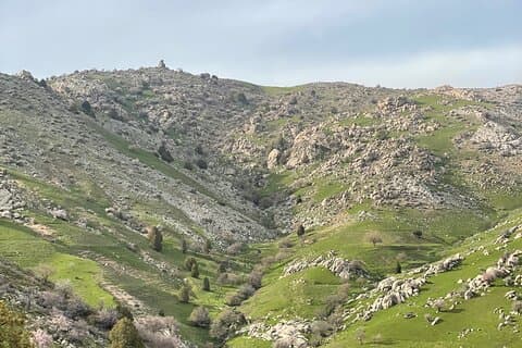 Shahrisabz Day Tour – From $44 per Person