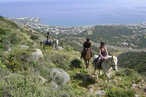 PASEO A CABALLO 1,5 horas montañas desde la zona de Hersonissos CRETA