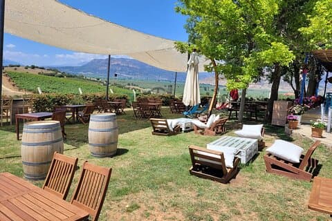 Arykanda and Likya Winery Tour A Blend of History and Wine