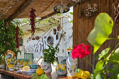 Typical experience in the lemon groves of the Amalfi coast