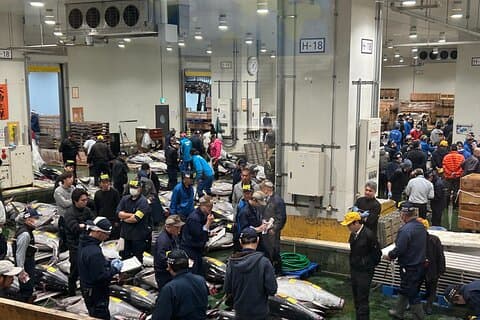 Ochtendmarktavontuur : Toyosu & Tsukiji met tonijnveiling