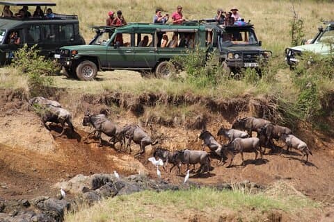 6 Days Camping Safari Adventure in Kenya