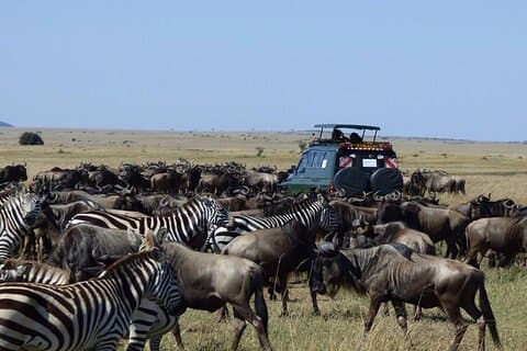 8 Dias Descubra o Safari do Quênia com um Jeep Land Cruiser 4x4