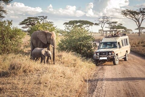 Safari de 4 dias para Serengeti Ngorongoro Tarangire