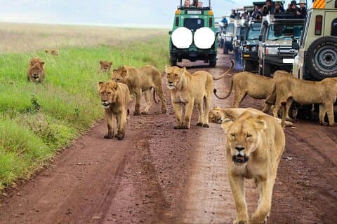 Classico 9 giorni Kenya & Tanzania