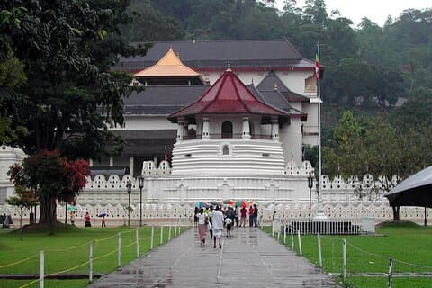 Privat All Inclusive-dagstur til Kandy fra Colombo og Negombo