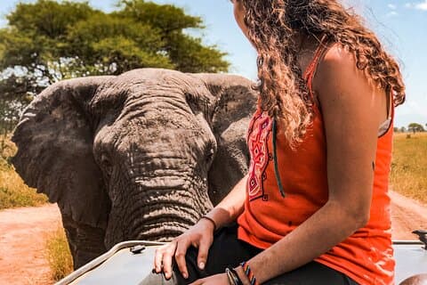 Safari di 3 giorni Tarangire e Cratere di Ngorongoro