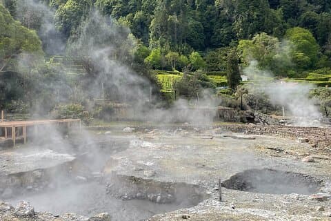 ファーナス・ヴェール、ゴレアナ茶工場プライベートバンツアー