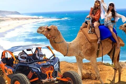 Camel Safari, UTV Adventure og Tequila Tasting i Cabo